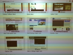 Our webcam pathfinder