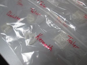 native american stamps (14)