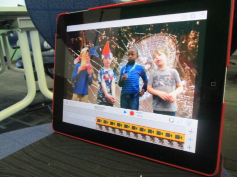 animal interview green screen (15)